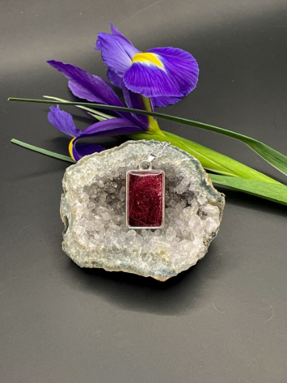 Obrázek Hranice pestrosti