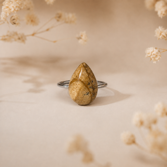 Obrázek Jaspis obrázkový